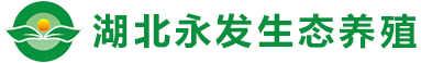 湖北91视频破解版生态91视频APP污版有限公司